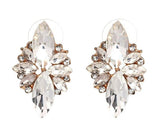 Costume and Fashion Jewerly Earrings